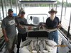 (05/19/2018) - Nice Striped Bass
